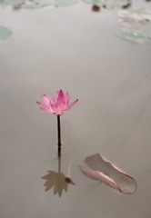 DSC_3232.jpg