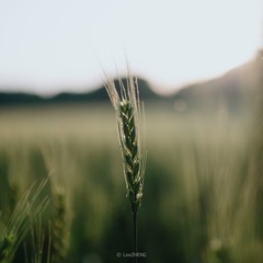 E1E86D86-6257-4F49-8FD1-845E1386DA4E/L0/001