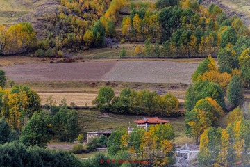 _83A3898-1