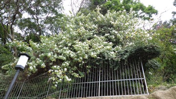 DSC01004.JPG
