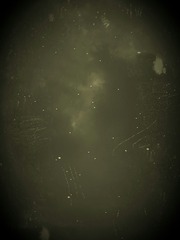 205176