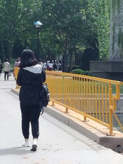 205041