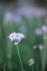 1F0F06D0-F807-48A2-A2DF-FFC46AB78357/L0/001