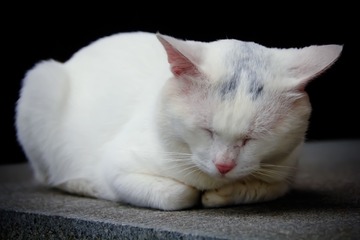 また、眠りたいのです。。。
