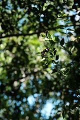 A76F5286-5BDD-48BB-B884-1DE9BC9B0F92/L0/001