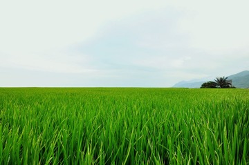 DSC_0009_副本.jpg