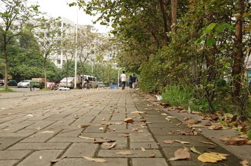 IMGP2041.JPG