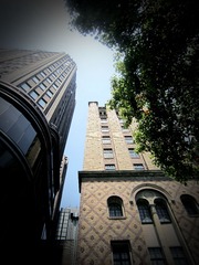 IMG_0096.JPG