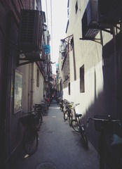 IMG_0369.JPG