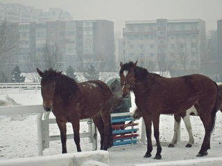 IMG_6345.JPG