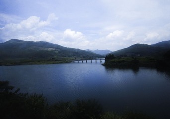 IMG_2220.jpg