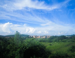 IMG_2235.jpg