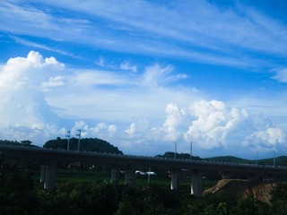 IMG_2239.jpg