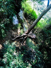 IMG_2647.jpg