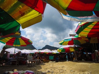 IMG_2661.jpg