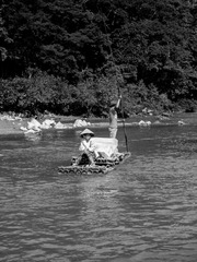 IMG_2531.jpg