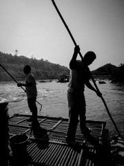 IMG_2554.jpg