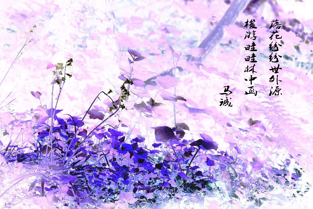 水墨画<br />
