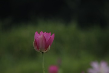 1180449