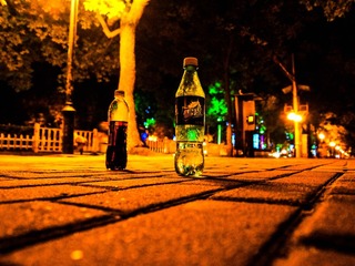 P9043254.jpg