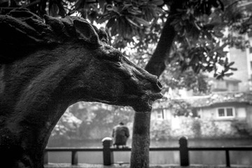 20130612-IMG_9575.jpg