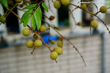 DSC02150.jpg