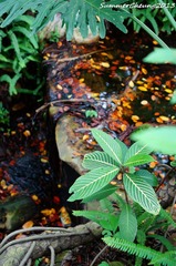 DSC02170.jpg