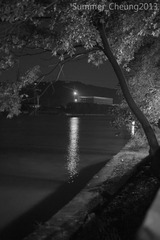 浪摄流 (5 - 19).jpg