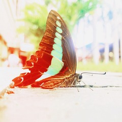 EEB72C9E-D710-4F45-B14A-C42F68B691D3/L0/001