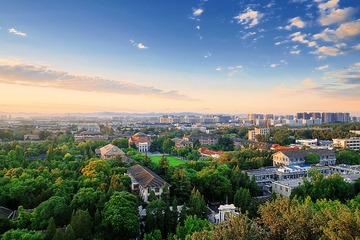 DSCF0206-1