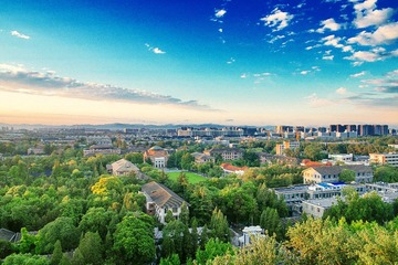 DSCF0207-3