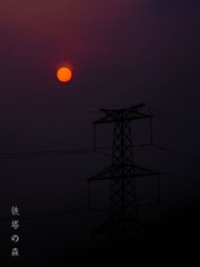 铁塔之森.jpg