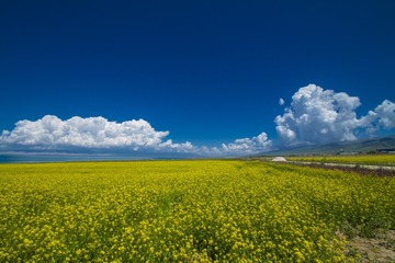 1642576