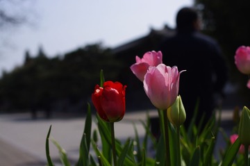 IMGP1691.JPG