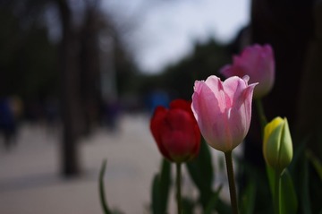 IMGP1693.JPG