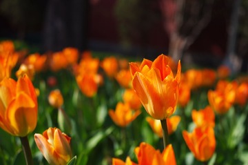 IMGP1709.JPG