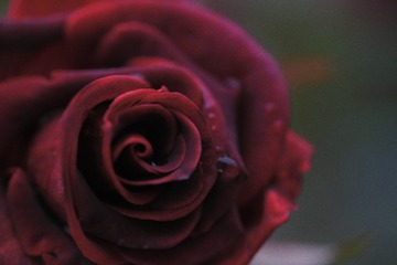 2C98208C-7AF1-4A29-99B8-EBF8F32BB091/L0/001