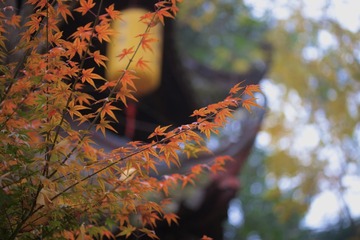 553CF671-843A-45D3-B47B-9325F48ADBF7/L0/001
