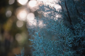 6FFE1C2B-0BCD-4978-90D6-DC37238D0773/L0/001