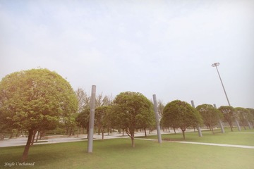 逆光.JPG