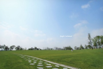 小不点.JPG