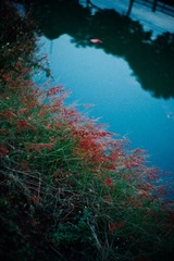 L1003453