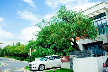 L1006015
