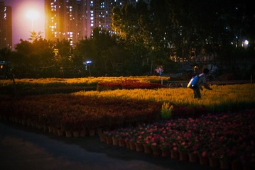 “L1007204”为智能对象-1