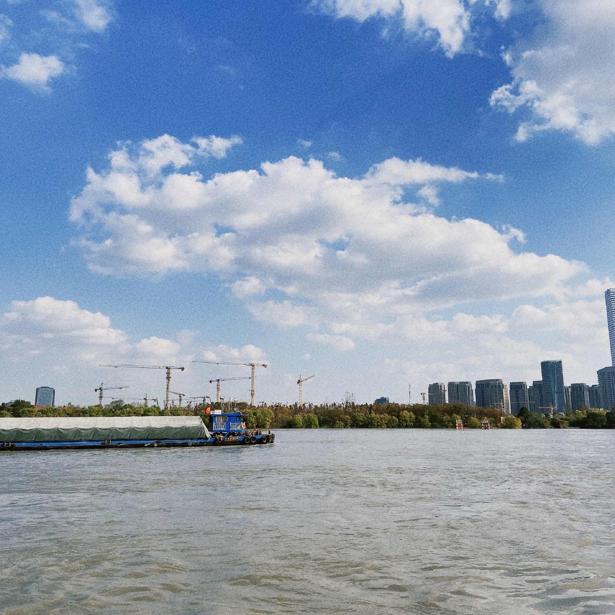 上海徐汇滨江公园