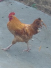 364588