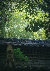 A88F7B10-E137-47C0-B370-4EC758EA4880/L0/001