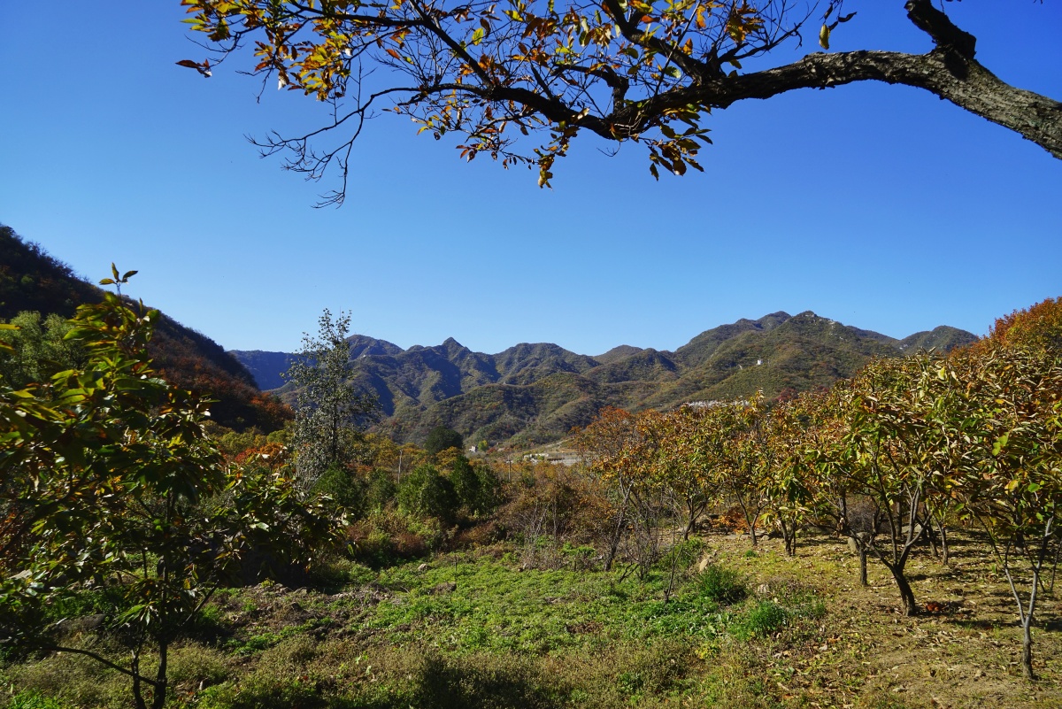 大杨山国家森林公园