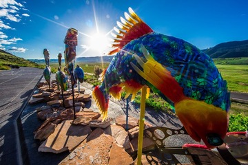 CT0T6685-2013.jpg