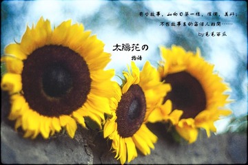 DSC09633 2nd.jpg
